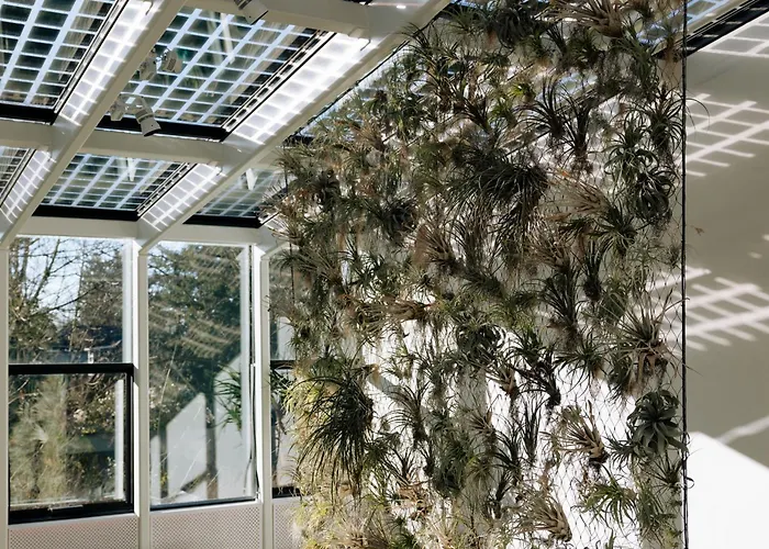 Cascada Thermal Springs &Airport Hotel